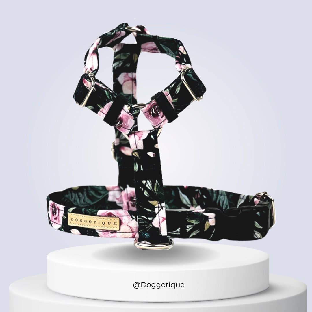 Hundegeschirr Dark Roses | schwarz | Jetzt online kaufen bei Dogs & Lifestyle
