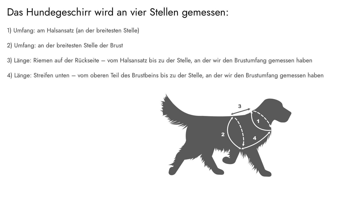 Hundegeschirr Dark Roses | schwarz | Jetzt online kaufen bei Dogs & Lifestyle