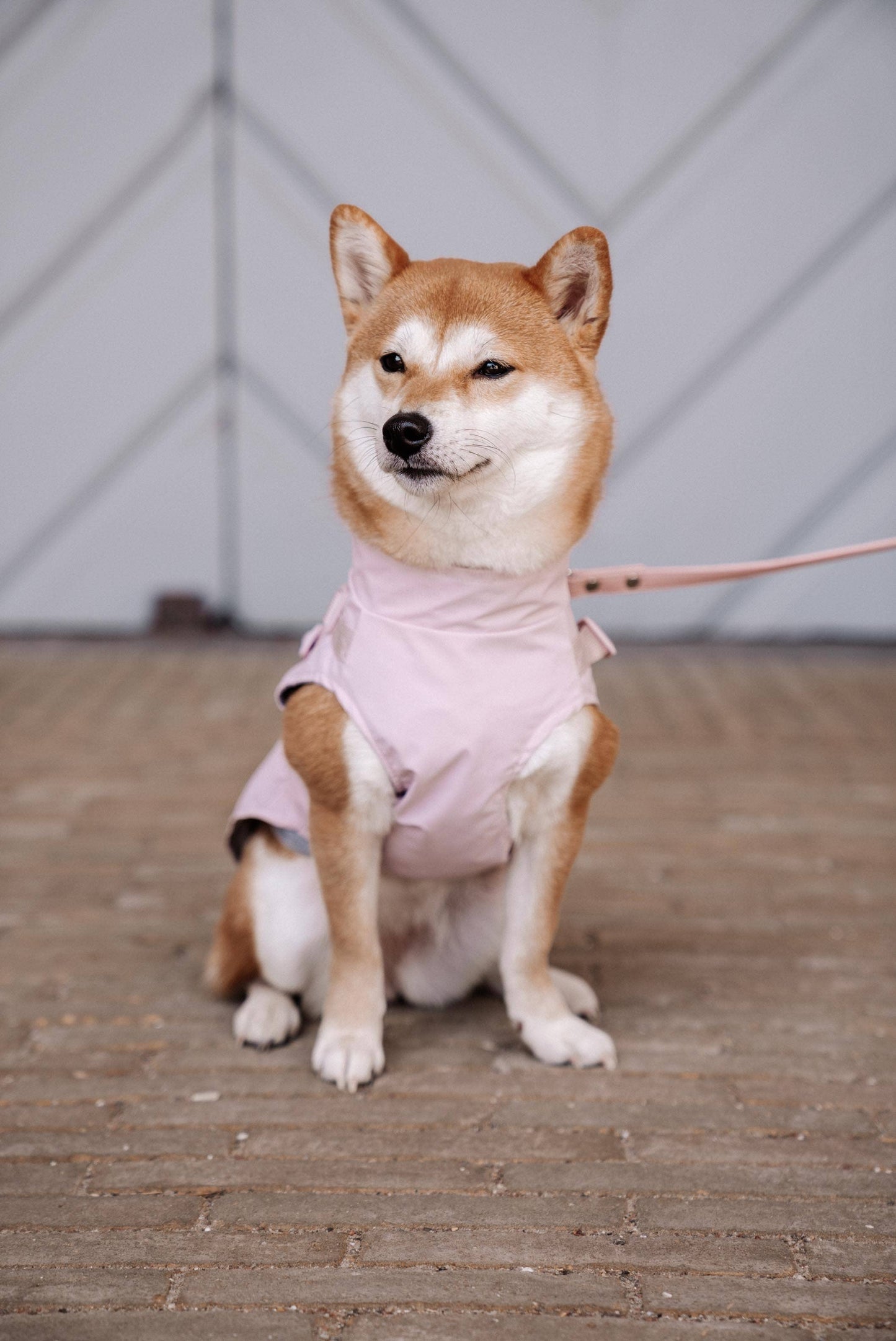 Hunde-Regenmantel | pastellrosa | Jetzt online kaufen bei Dogs & Lifestyle