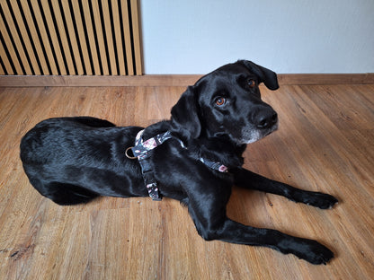 Hundegeschirr Dark Roses | schwarz | Jetzt online kaufen bei Dogs & Lifestyle