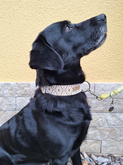 Halsband Sunkissed | goldgelb-weiß | Jetzt online kaufen bei Dogs & Lifestyle