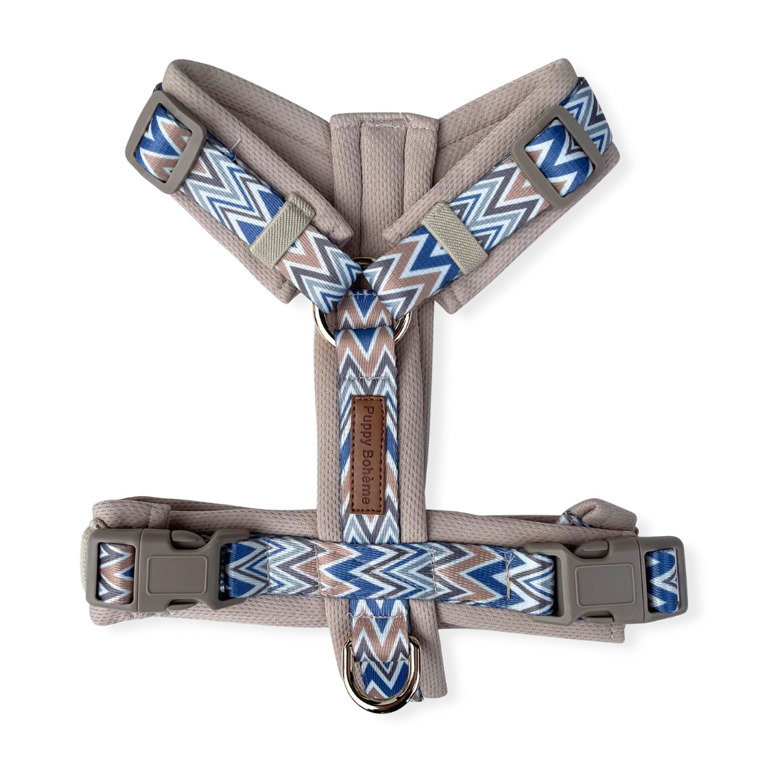 Hundegeschirr Ziggy | blau | Jetzt online kaufen bei Dogs & Lifestyle